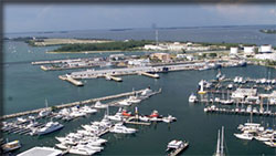 Key West Bight Parasailing Key West Bight parasailing